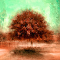 Pennellate di poesia